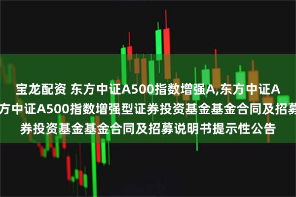 宝龙配资 东方中证A500指数增强A,东方中证A500指数增强C: 东方中证A500指数增强型证券投资基金基金合同及招募说明书提示性公告