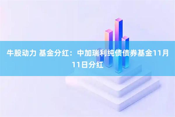 牛股动力 基金分红：中加瑞利纯债债券基金11月11日分红