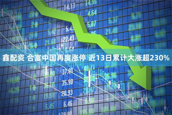 鑫配资 合富中国再度涨停 近13日累计大涨超230%