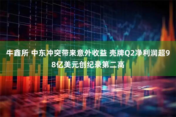 牛鑫所 中东冲突带来意外收益 壳牌Q2净利润超98亿美元创纪录第二高